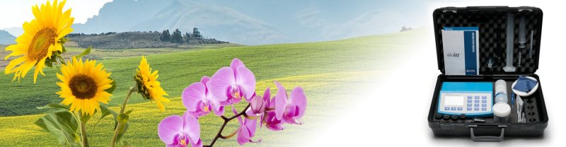 Importancia del control de parámetros en cultivo de girasoles y orquídeas